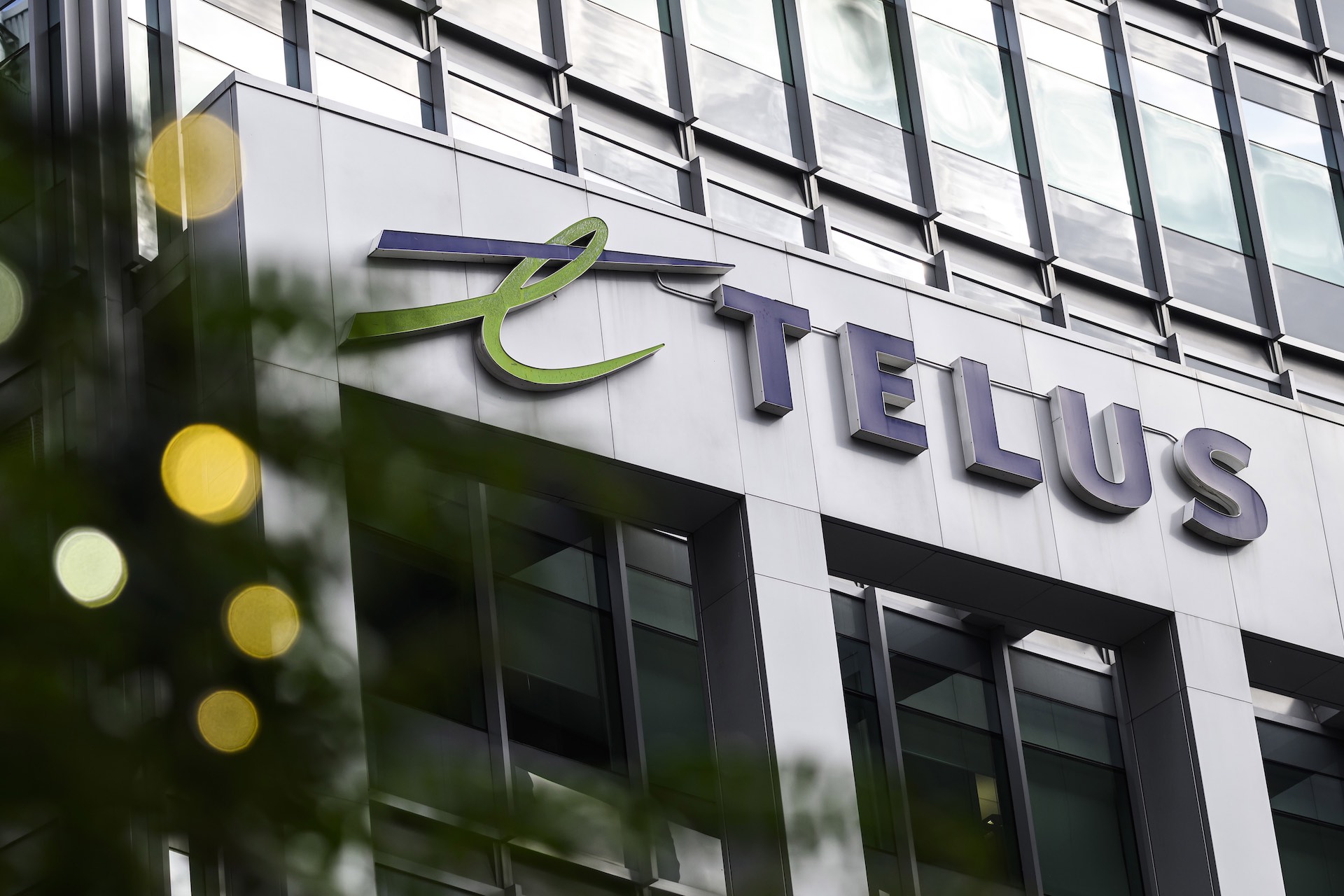 TELUS Jobs: How to Build a Promising Career with Go Sales - Go Sales